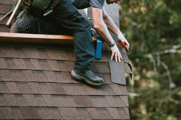 Best Roof Gutter Cleaning  in Riverview Rk, PA